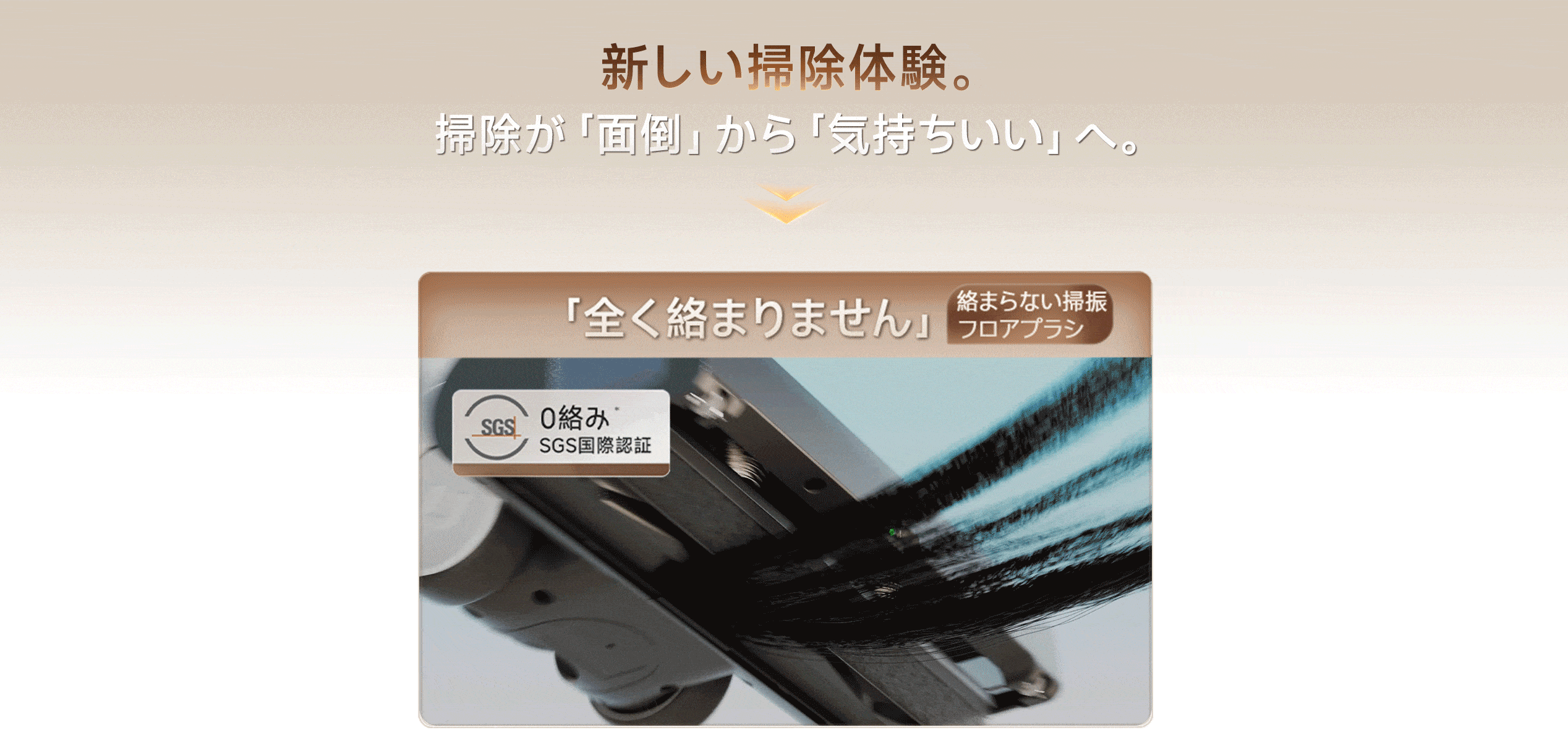 Product detail image